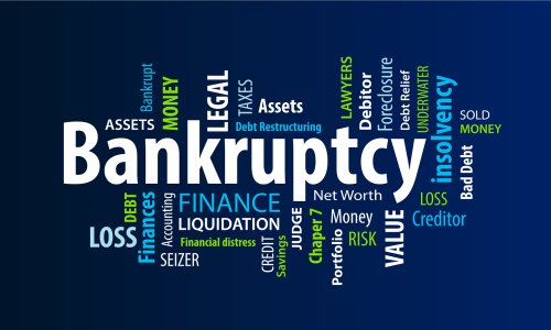 chapter 7 and 13 bankruptcy